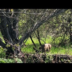 Meet your Posher, Veena